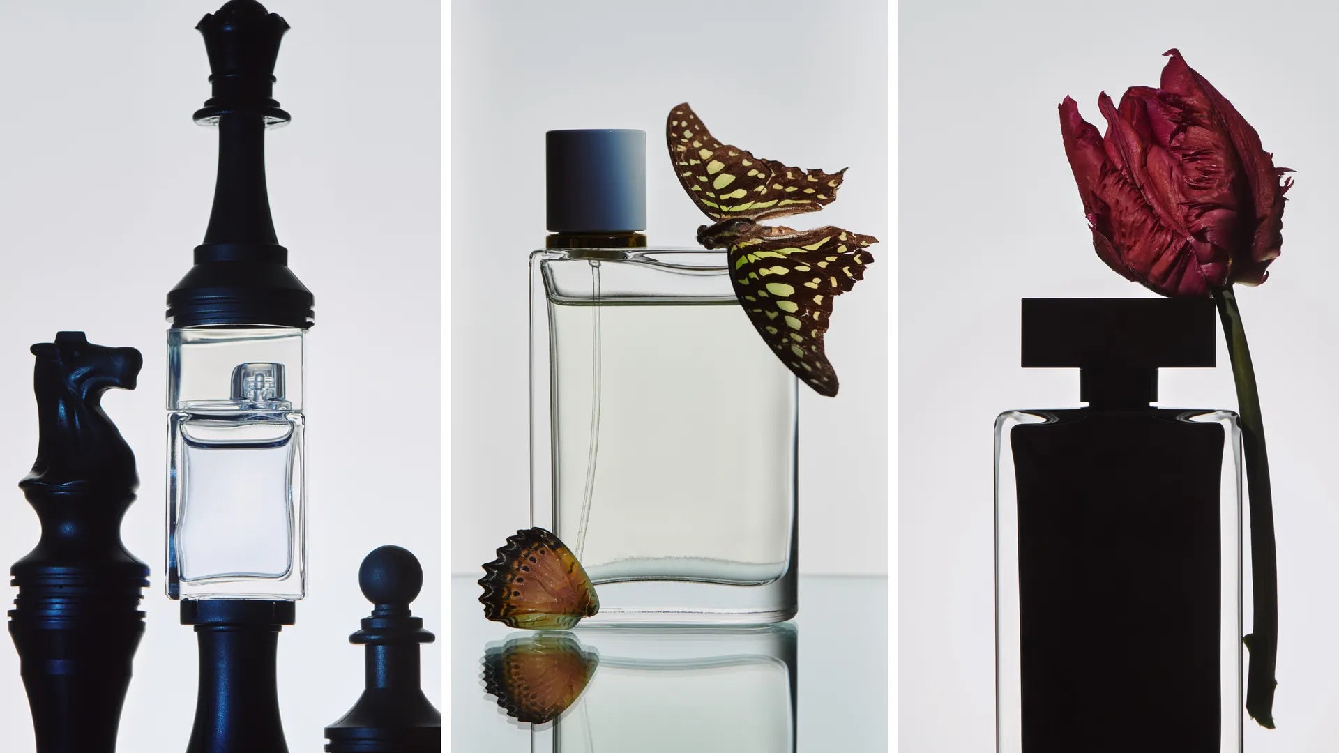 7 Best Summer 2026 Fragrances Worth Discovering